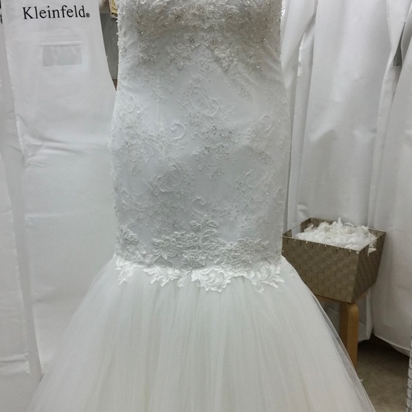 Wedding Dress from Kleinfeld (Say Yes To Dress) - Picture 15 of 16